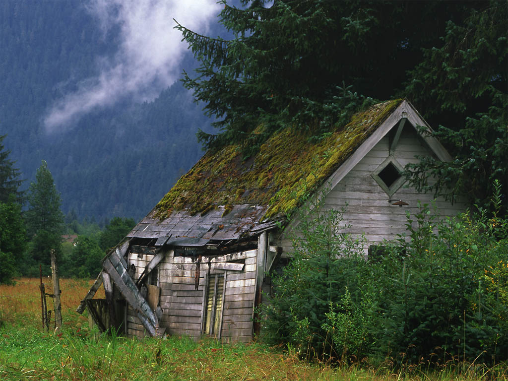 Shed in Field.jpg